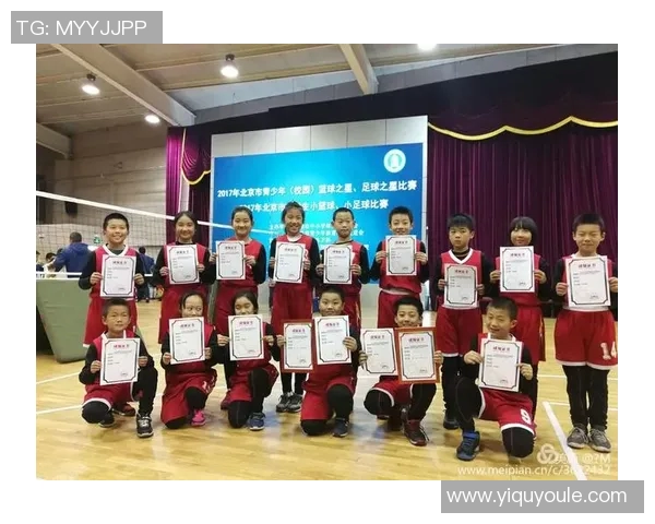 在中国图书馆中寻找篮球明星的成长故事与梦想追逐