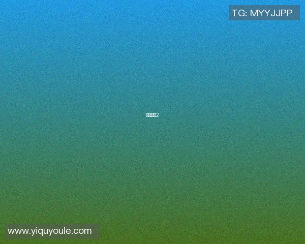 篮球明星2